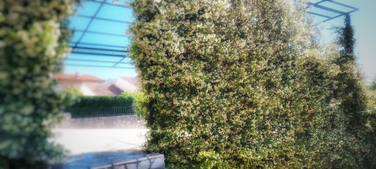 Apartmani Tomislav Krk Town Luaran gambar